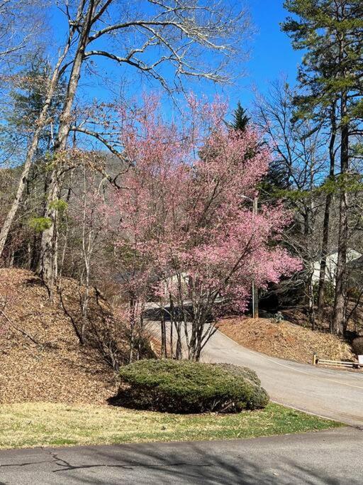 Creekside Gated Golf Mtn Villa W/Fast Wifi & Paved Franklin Exterior photo